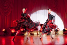 Grand Imperial Charity Banquet & Italian Embassy Pirelli Event Tokyo, Japan